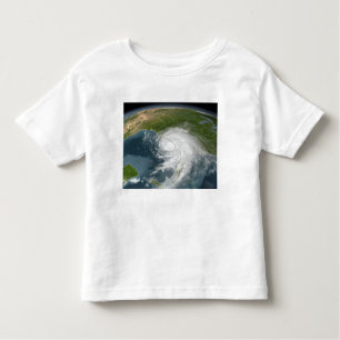 Hurricane Dennis 2 Toddler T-Shirt