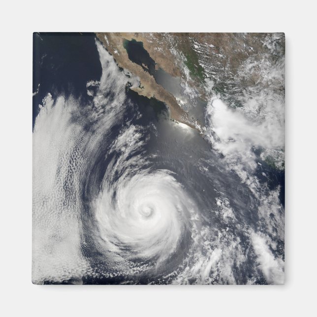 Hurricane Douglas Magnet (Front)