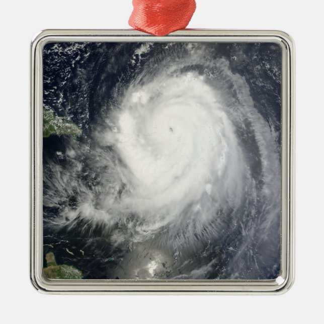Hurricane Earl Metal Tree Decoration (Front)