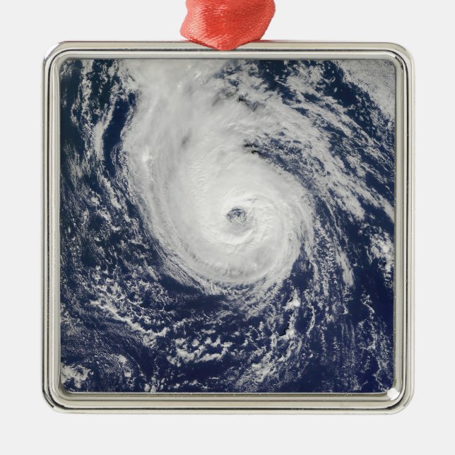 Hurricane Epsilon Metal Tree Decoration (Front)