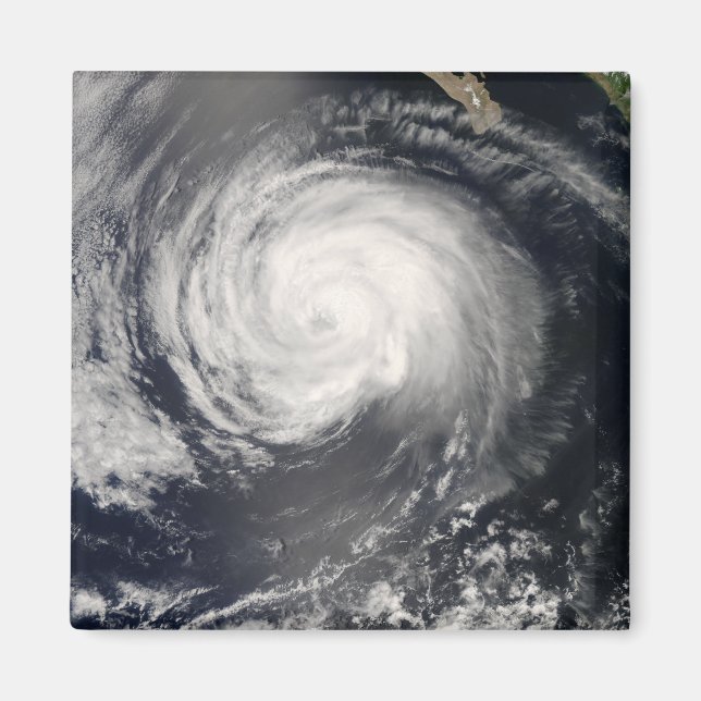 Hurricane Fausto Magnet (Front)