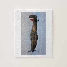 Hurricane Fighter aircraft WWII military plane