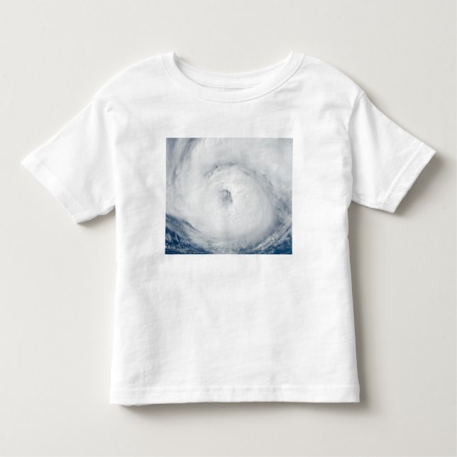 Hurricane Gordon 2 Toddler T-Shirt (Front)