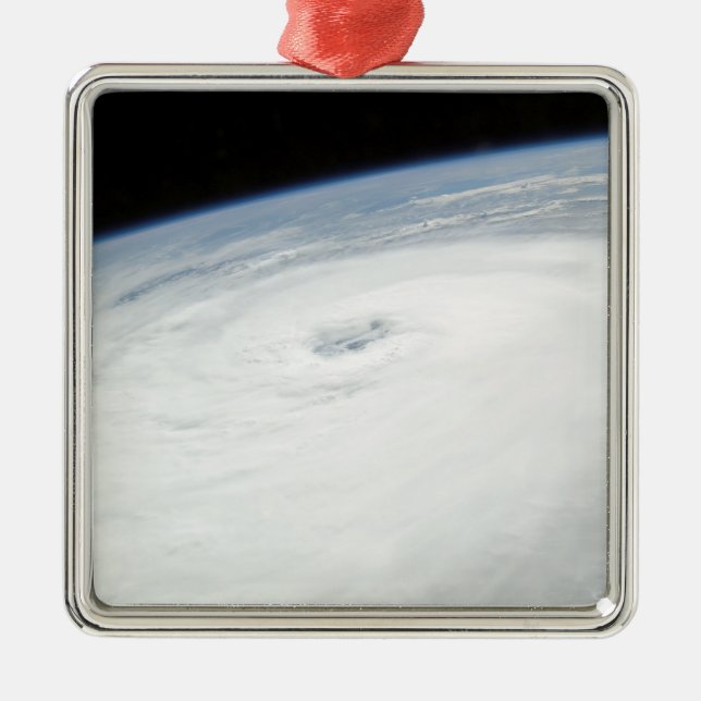 Hurricane Helene Metal Tree Decoration (Front)