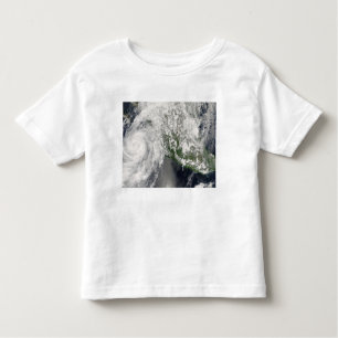 Hurricane Henriette Toddler T-Shirt