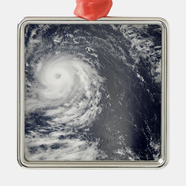 Hurricane Igor 2 Metal Tree Decoration (Front)