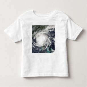 Hurricane Jeanne Toddler T-Shirt