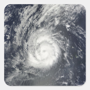 Hurricane Julia Square Sticker