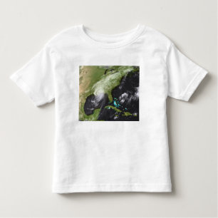 Hurricane Katrina 4 Toddler T-Shirt