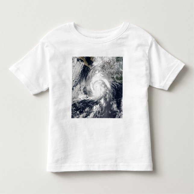 Hurricane Kenna 2 Toddler T-Shirt (Front)