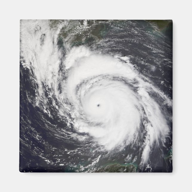 Hurricane Lili 5 Magnet (Front)