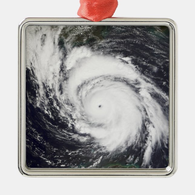 Hurricane Lili 5 Metal Tree Decoration (Front)