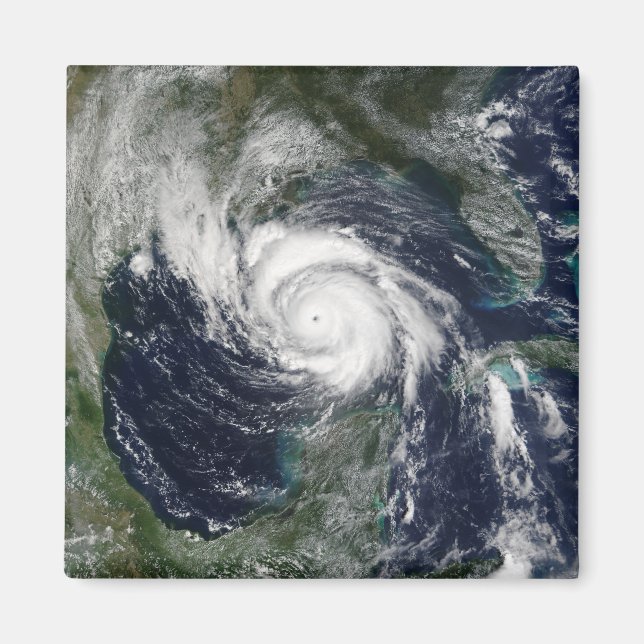 Hurricane Lili Magnet (Front)