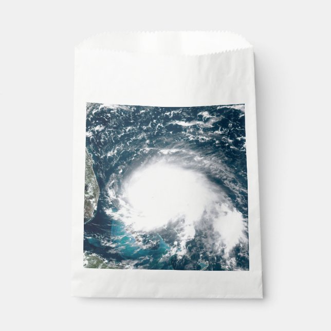 Hurricane off the coast of Florida    Favour Bags (Front)