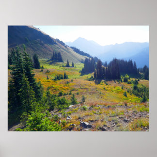 Hurricane Ridge Trail Poster