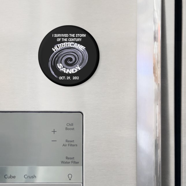 Hurricane Sandy Magnet (In Situ (Fridge))