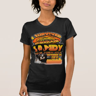 Hurricane Sandy, New York City T-Shirt