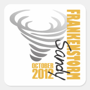 Hurricane Sandy Survivor 2012 Square Sticker