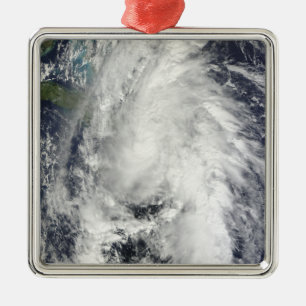 Hurricane Tomas Metal Tree Decoration