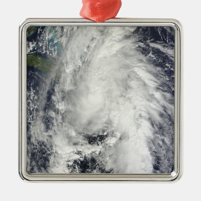 Hurricane Tomas Metal Tree Decoration (Front)