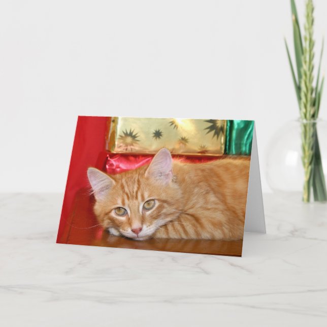 Hurry Christmas Holiday Card (Front)