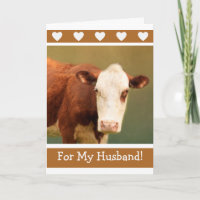 Husband Funny Cow Happy Birthday