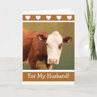 Husband Funny Cow Happy Birthday Card