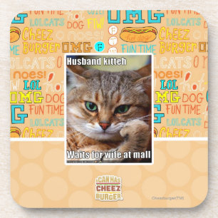 Husband Kitteh Coaster