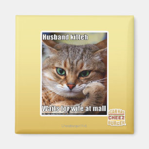 Husband Kitteh Magnet
