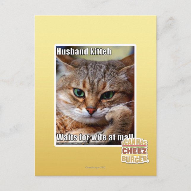 Husband Kitteh Postcard (Front)