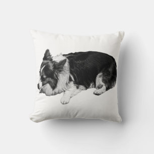 hush-lit nap, corgi joy cushion