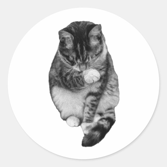 Hush-Tail Companion Classic Round Sticker (Front)