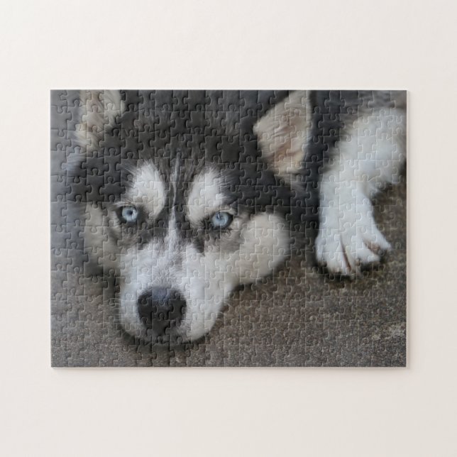 Huskey Blue Eyes Jigsaw Puzzle (Horizontal)