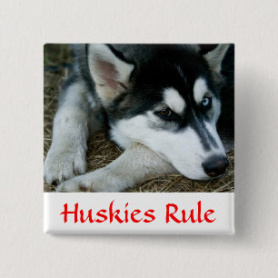 Huskies Rule Siberian Husky Pin Button