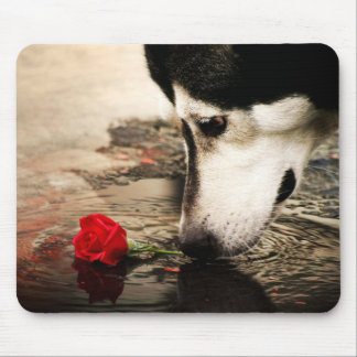 Husky and Red Rose Photography Mousepad