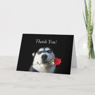 Husky and Rose Thank You Card