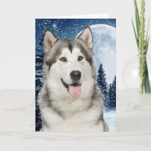 Husky Christmas Card