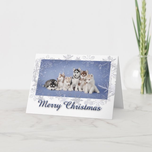 Husky Christmas Holiday Card (Front)