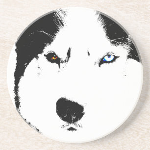 Husky Coaster Bi-eye Husky Malamute Coaster