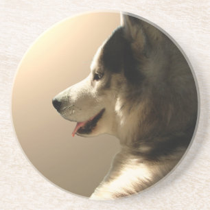 Husky Coaster Custom Husky Puppy Dog Coaster
