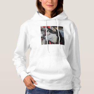 Husky dog before a race, Canada Hoodie