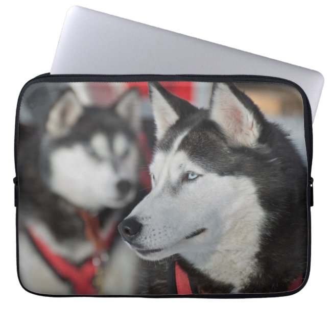 Husky dog before a race, Canada Laptop Sleeve (Front)