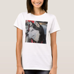 Husky dog before a race, Canada T-Shirt