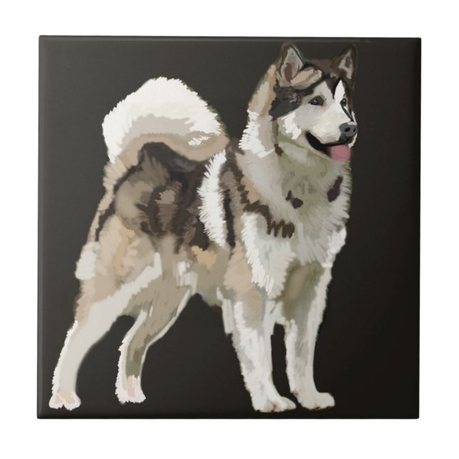 Husky Dog Ceramic Photo Tile (Front)