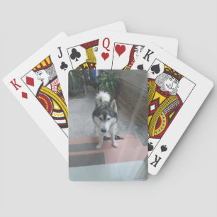 Husky Dog Classic Playing Cards