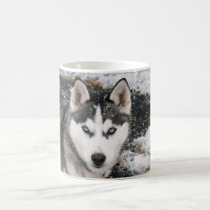 Husky dog coffee mug