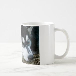 Husky Dog Coffee Mug