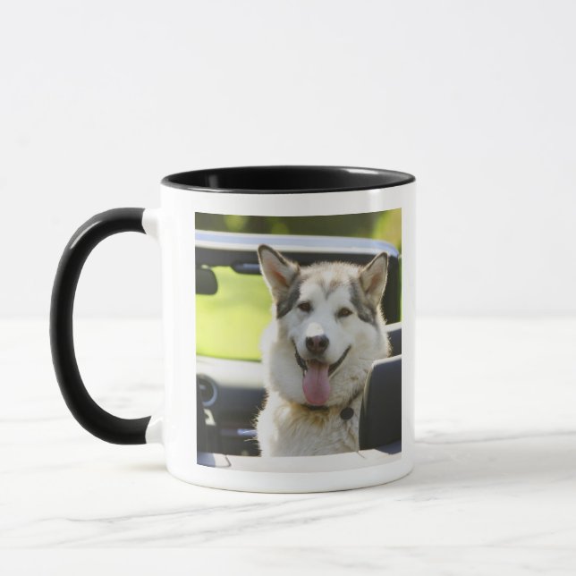 Husky dog from convertible mug (Left)