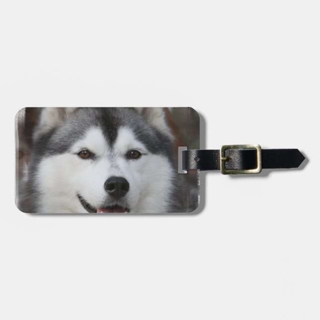 Husky Dog  Luggage Tag (Front Horizontal)