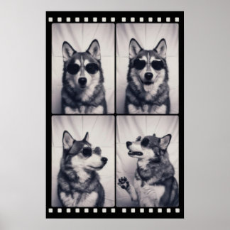 Husky Dog Portrait Poster